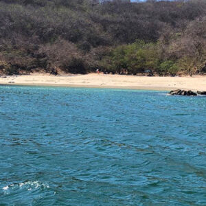 private sailing charters, private sailboat, sunset cruise, whale watching, sailing school, sailing clinics, sailing classes, puerto vallarta, nuevo vallarta